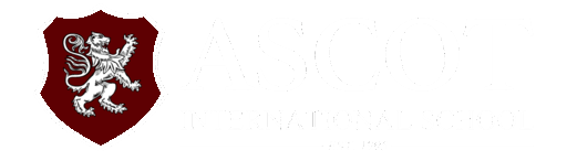 Ascot Football Academy logo